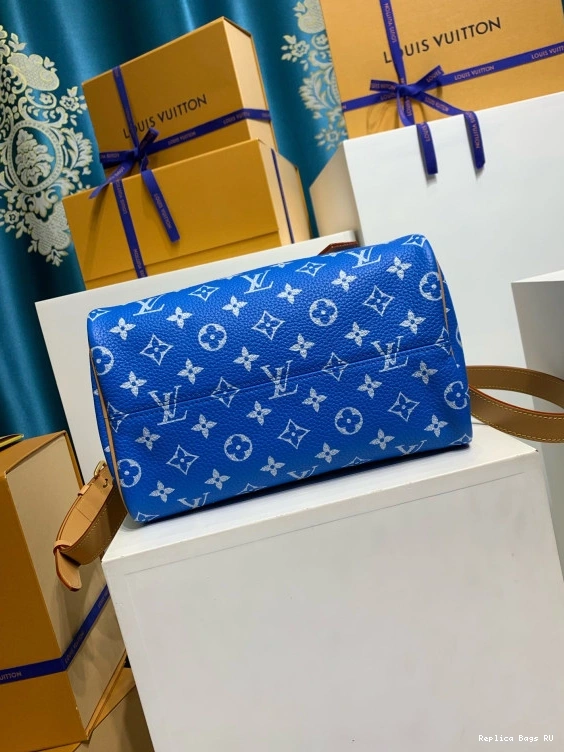 Cheap Vuitton SPEEDY Louis 25 0812